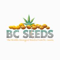 bc-seeds-logo