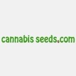 cannabis-seeds