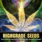 highgrade-seeds